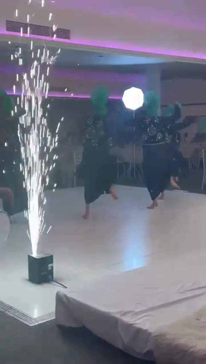 Bhangra dancers performing with cold spark fountains