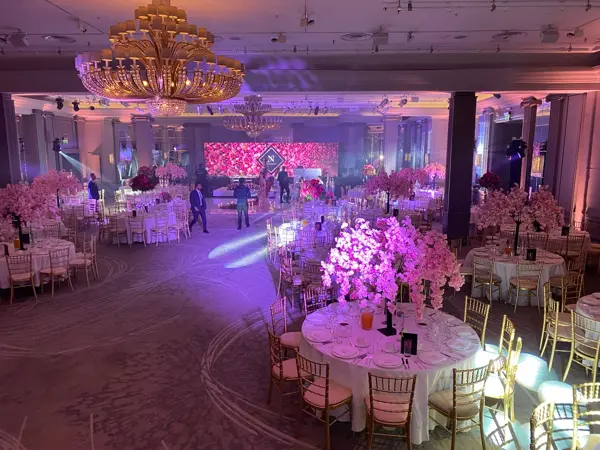 Pink blossom trees under purple lighting