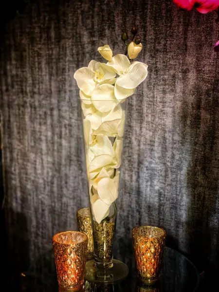 White orchids in a tall glass vase