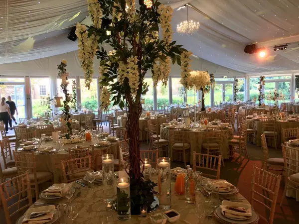 Tree centrepieces in a reception marquee