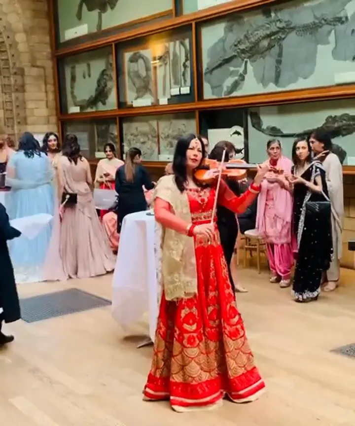 Violinist in red and gold playing to guests