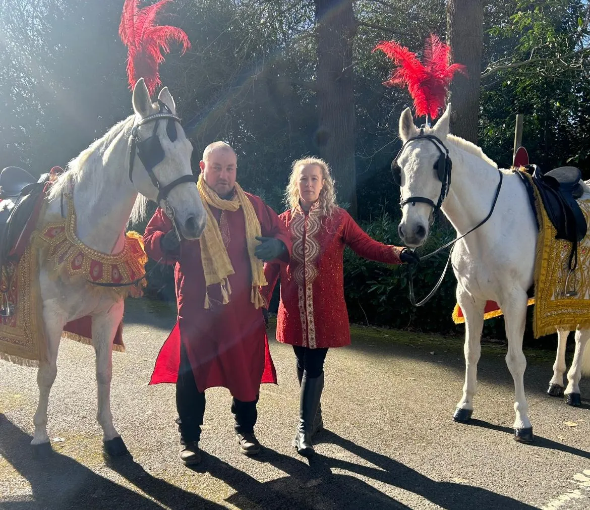 Two white wedding horses with handlers in traditional dress