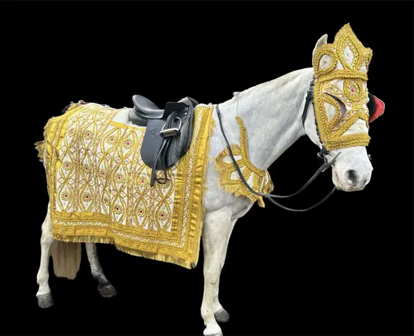 White wedding horse in a gold and cream costume
