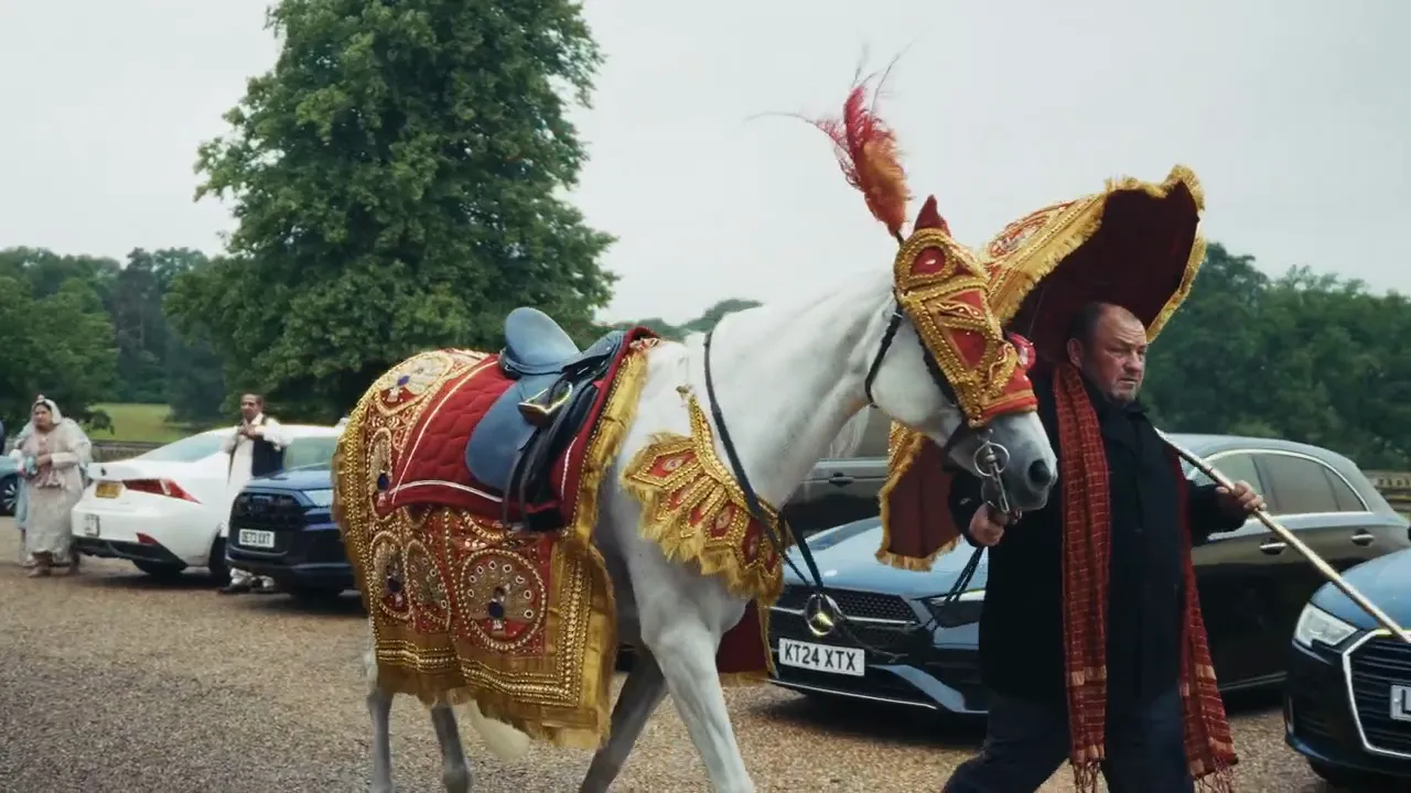 Baraat horse arriving, Devizes