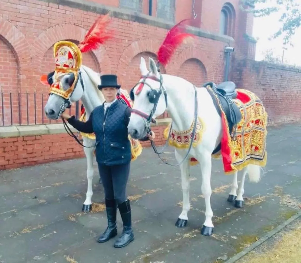 Two white horses in gold costumes with their handler