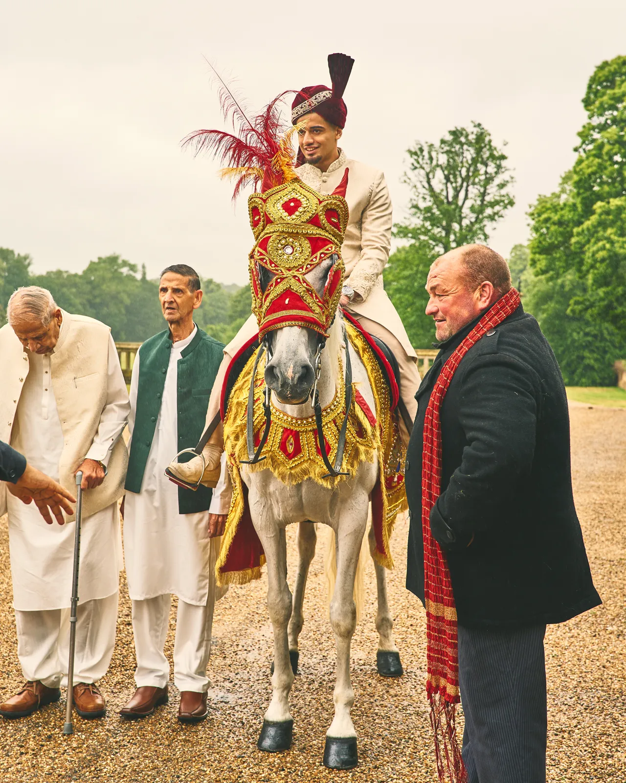White wedding horse dressed in red and gold with a feathered headpiece