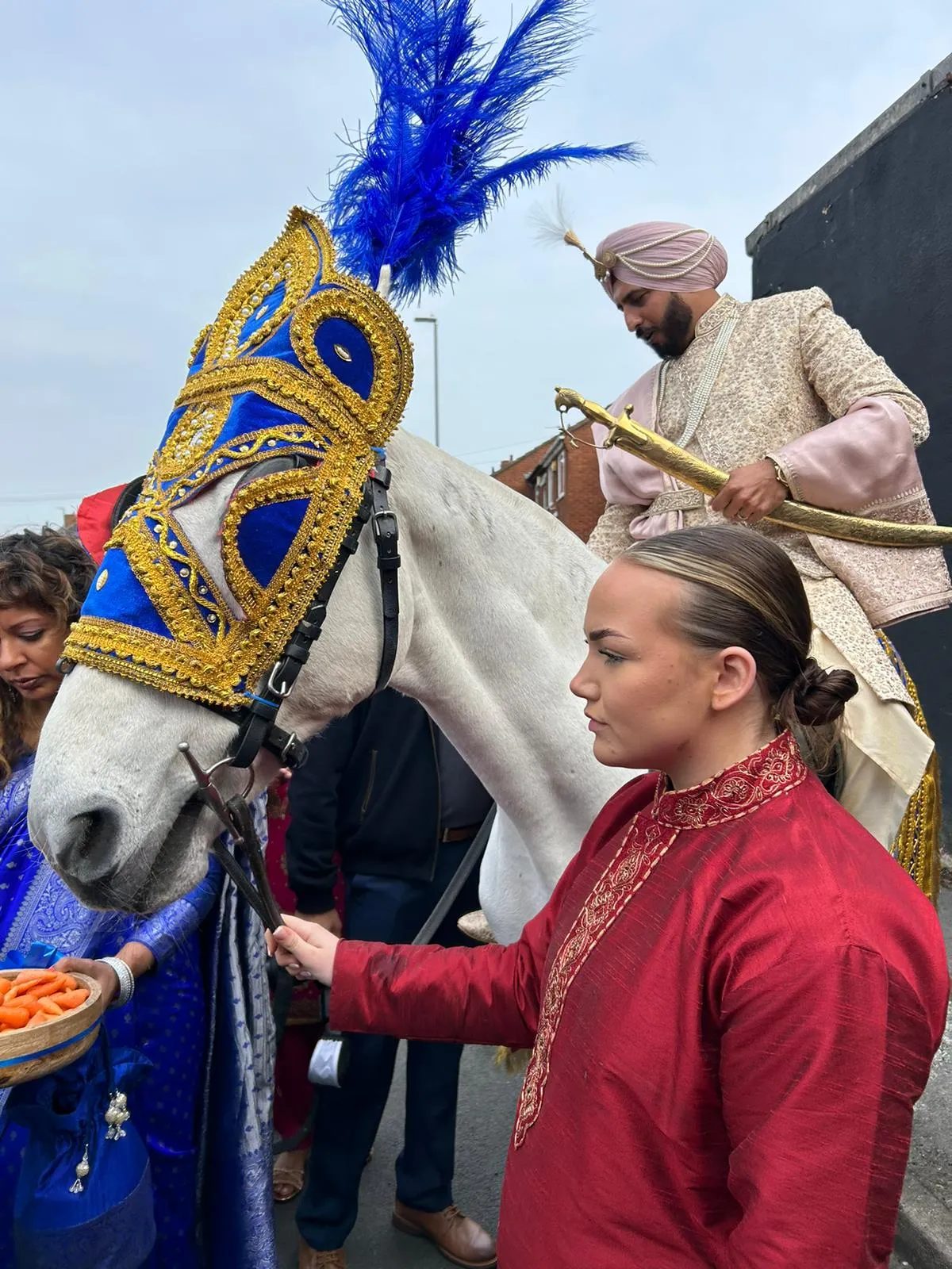White horse in a blue and gold headdress being welcomed with aarti
